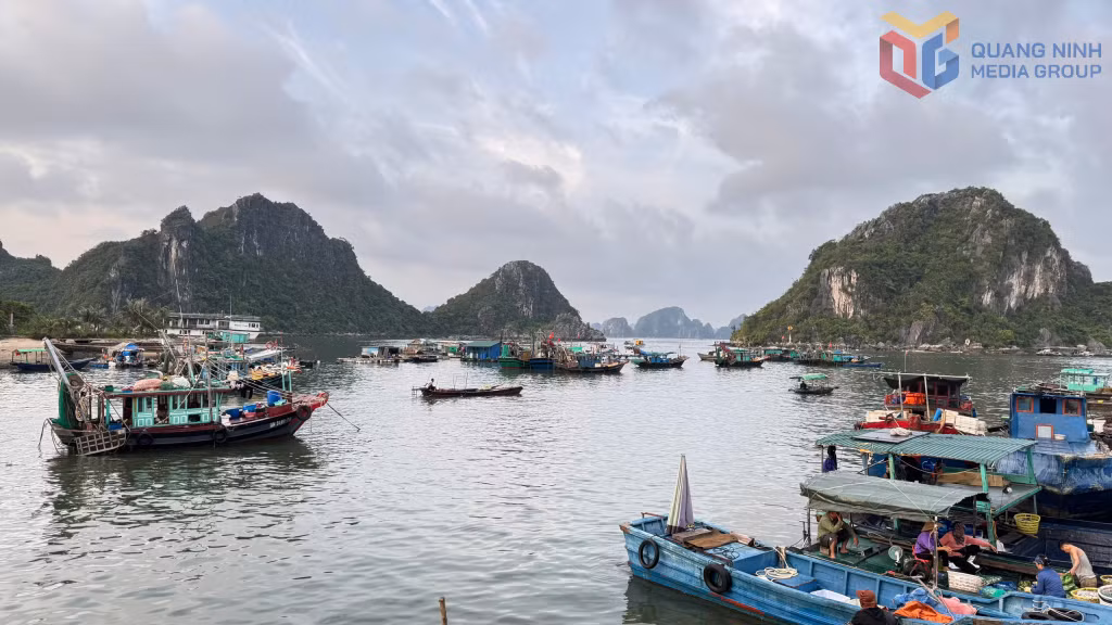 Tàu thuyền neo đậu an toàn tại khu vực cảng Cái Rồng (đặc khu Vân Đồn).