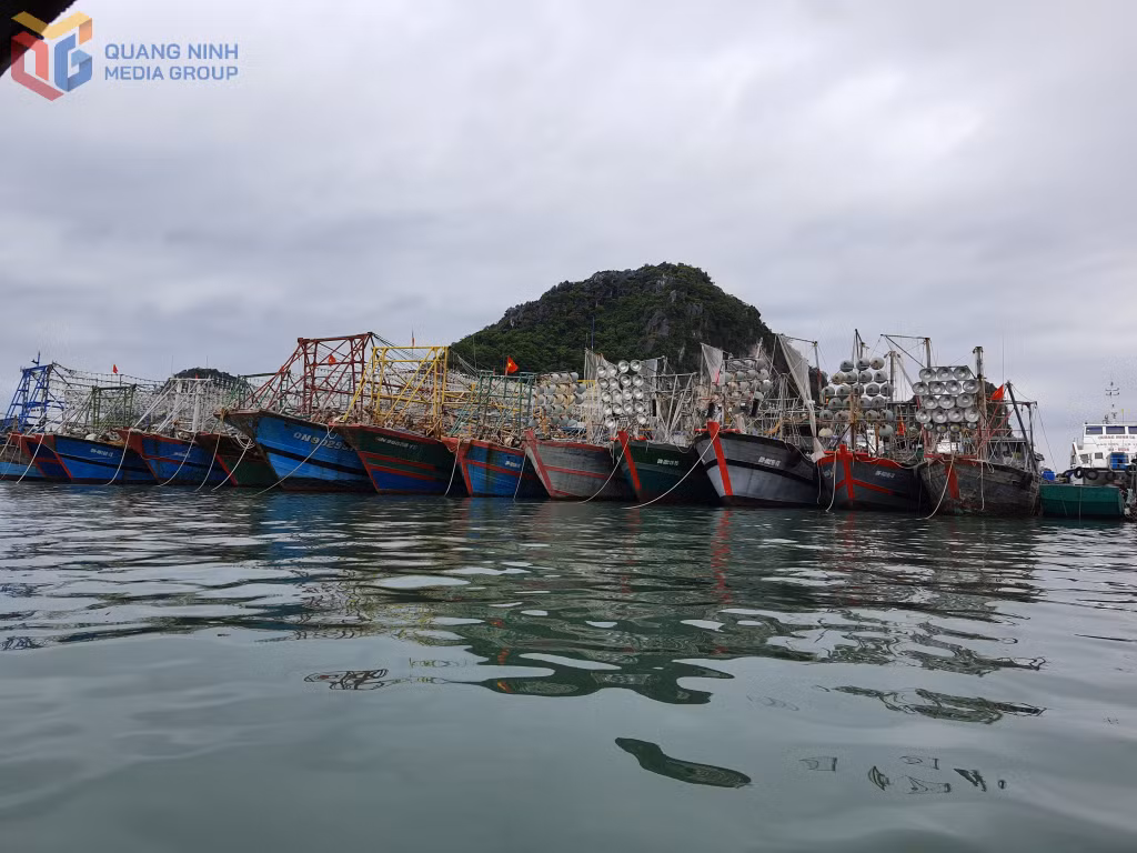 Hiện tỉnh Quảng Ninh hỗ trợ các tàu cá có chiều dài 12m trở lên lắp đặt thiết bị giám sát hành trình VMS.
