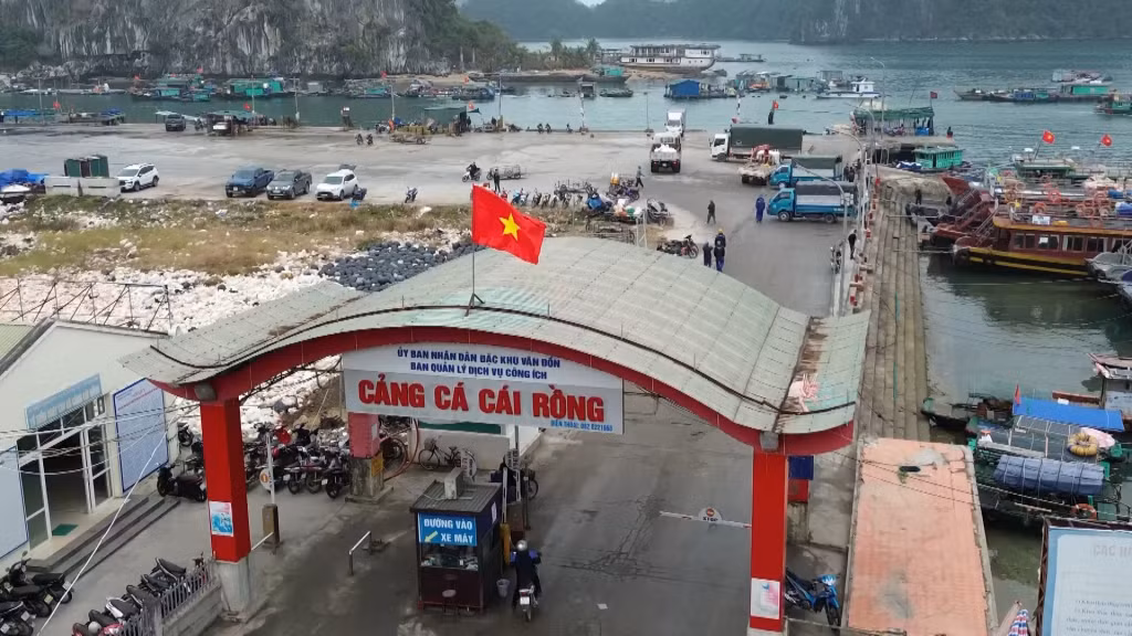 Cảng cá Cái Rồng vừa được chính thức công bố.