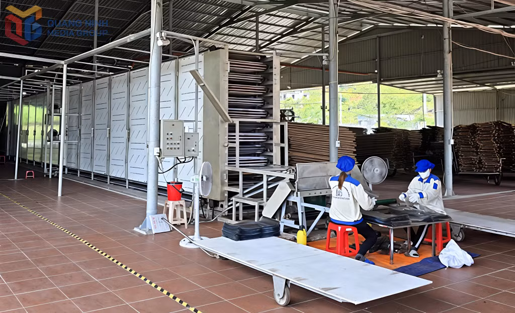 Dây chuyền sản xuất miến dong của Công ty CP Thương mại và dịch vụ Bình Liêu ứng dụng hiệu quả KHCN nhằm nâng cao chất lượng sản phẩm nông nghiệp.