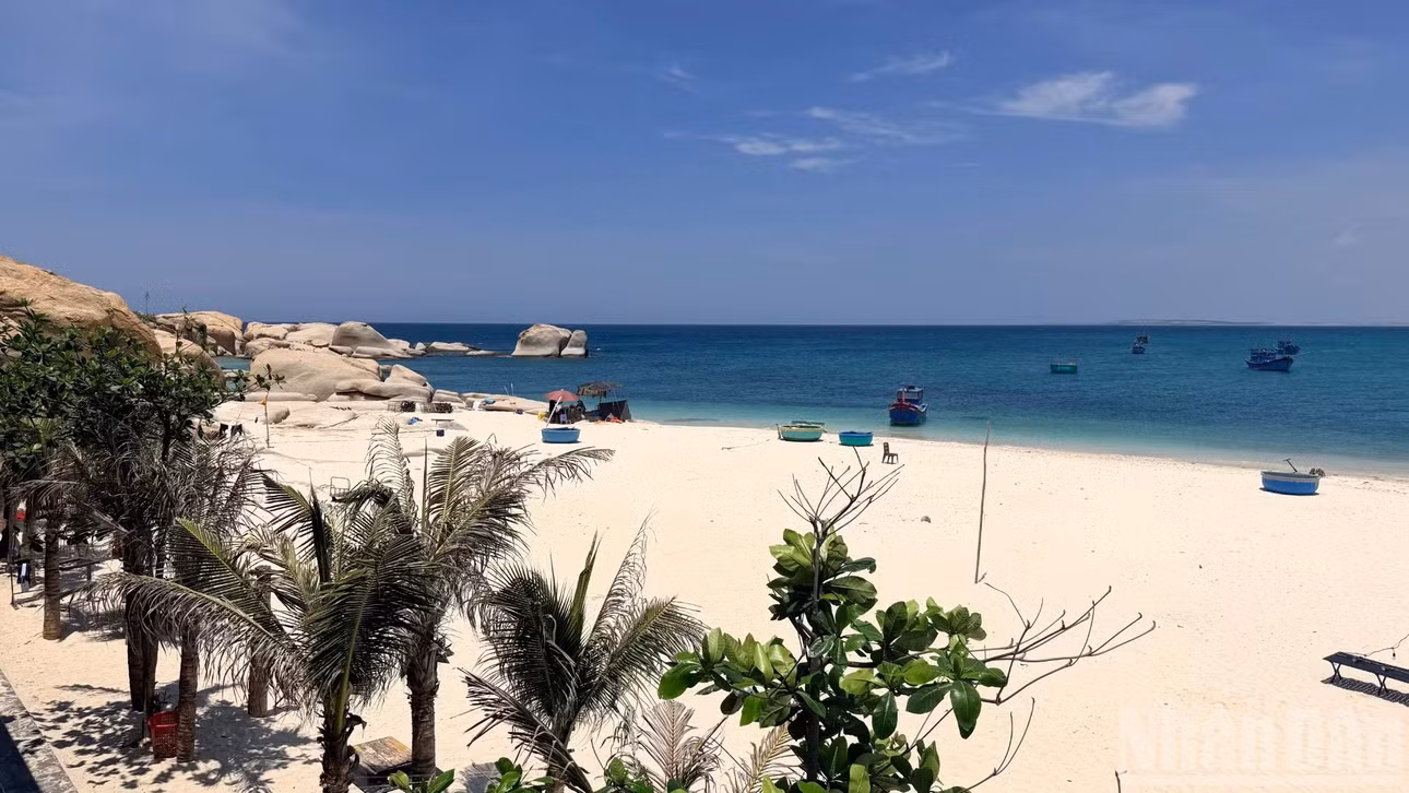 Nhiều bãi đá nằm dưới biển, bên dưới là bờ cát trắng mịn, cũng trở thành nơi trú ẩn cho nhiều loại sinh vật biển.
