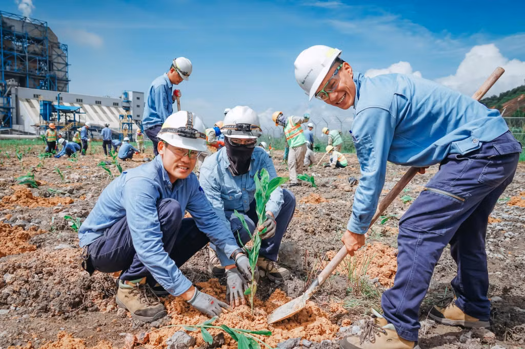 Công nhân Nhà máy Nhiệt điện BOT Mông Dương 2 trồng cây xanh góp phần bảo vệ môi trường.