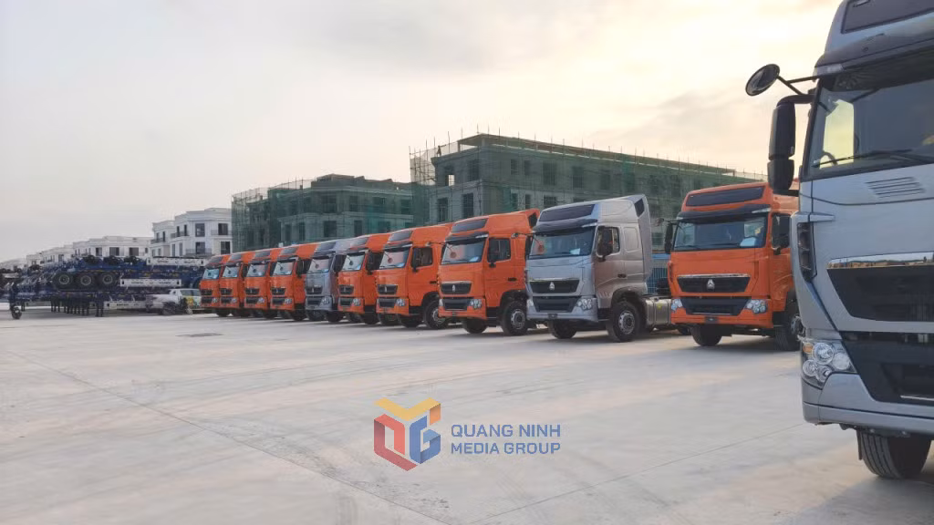 Phương tiện nhập khẩu tập kết tại bãi tập kết của Công ty CP Quốc tế Tân Đại Dương (khu vực cửa khẩu Bắc Luân II).