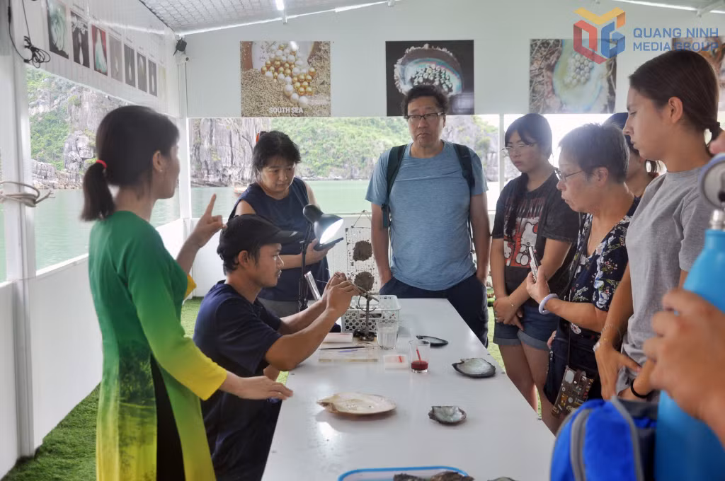 Du khách nước ngoài xem chế tác trai ngọc nuôi trồng trên vịnh Hạ Long tại khu vực Vung Viêng.