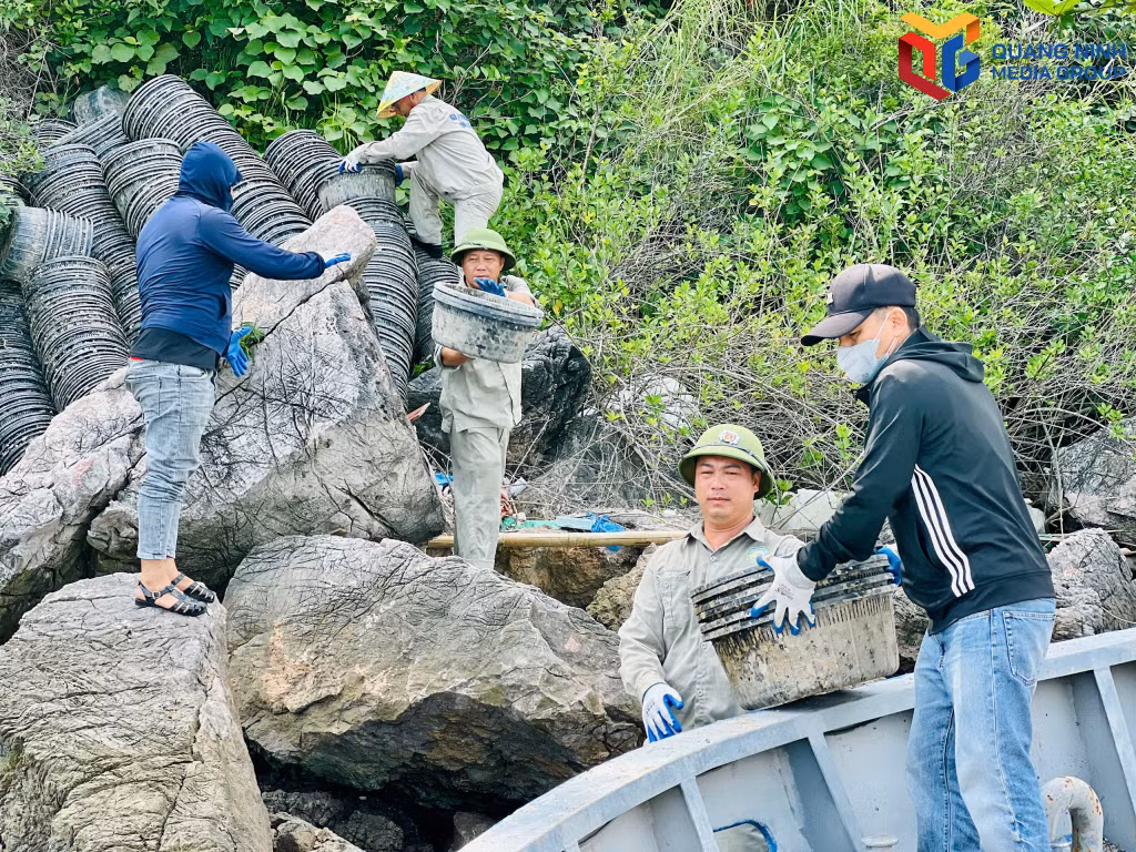 Nhân viên thuộc Ban Quản lý Di sản thế giới Vịnh Hạ Long – Yên Tử tích cực thu gom.