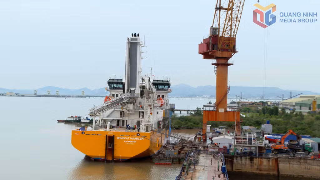 Công ty TNHH MTV Đóng tàu Hạ Long đang thực hiện đóng mới gần 20 tàu có trọng tải từ 3.200 - 45.000 tấn.