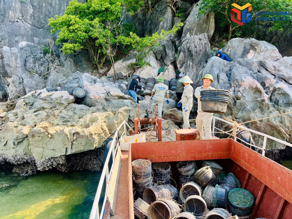 Toàn bộ số lồng bè nuôi trồng thủy sản trái phép còn tồn dư tại các đảo trên vịnh Hạ Long đều được thu gom.