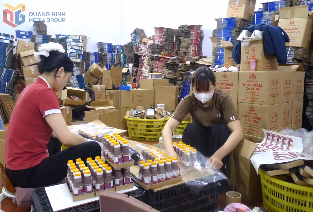 Lao động làm việc tại Công ty CP Nước mắm Cái Rồng HCM (Vân Đồn).