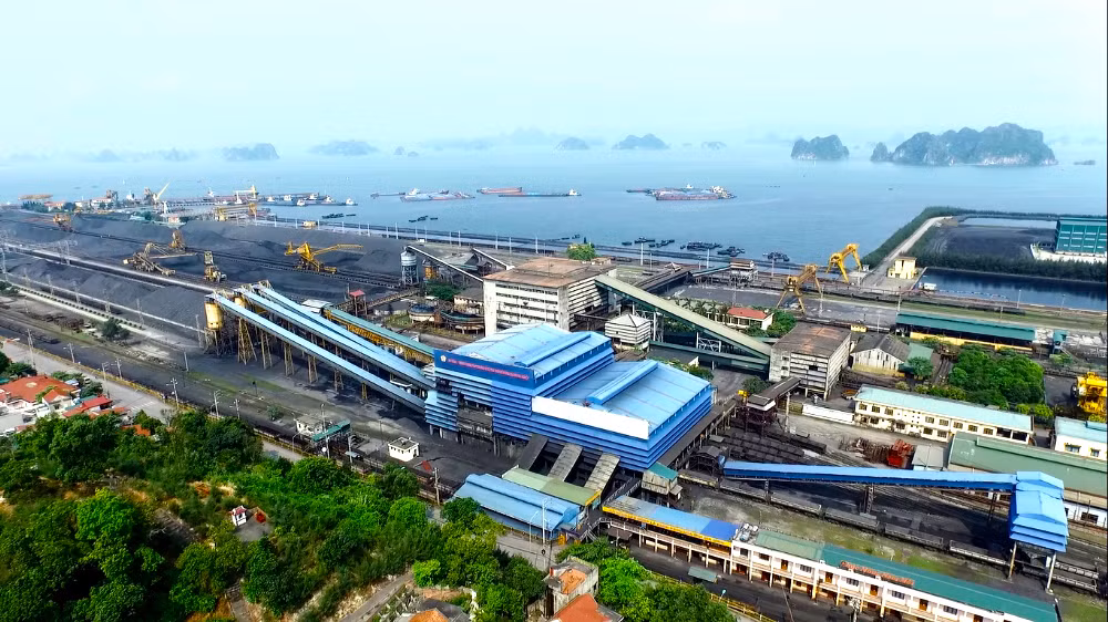 Các khu vực sản xuất, khuôn viên, nhà ăn... của công ty đều được trồng nhiều cây xanh tạo cảnh quan sạch đẹp và cải tạo môi trường.