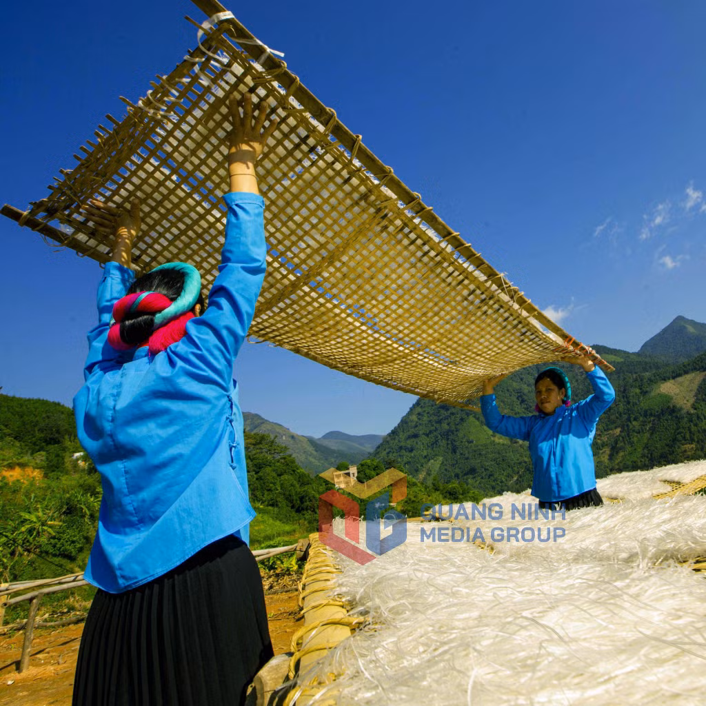 Phơi miến sợi. Ảnh: Dương Phượng Đại