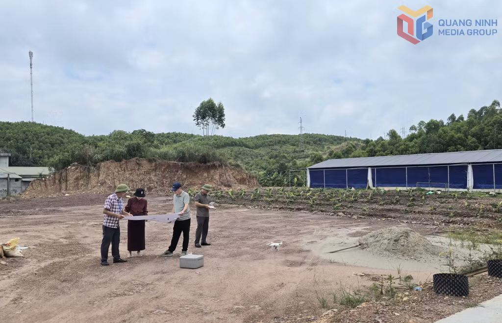 Các đơn vị chuyên môn của xã Quảng Tân phối hợp rà soát, quản lý mặt bằng dự kiến triển khai dự án CCN phía Tây Đầm Hà A.