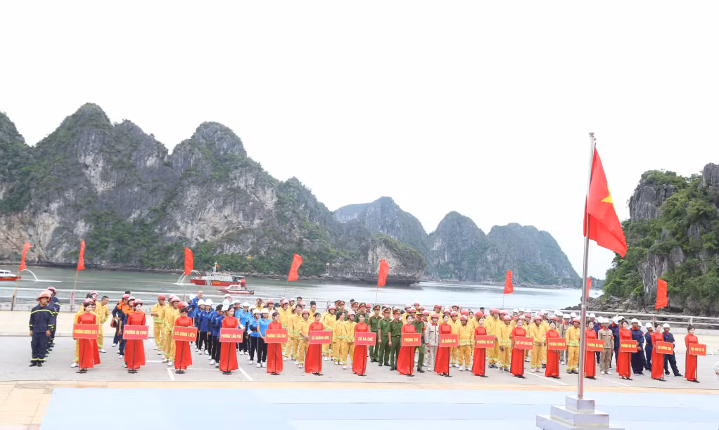 Các đội tham gia dự thi.