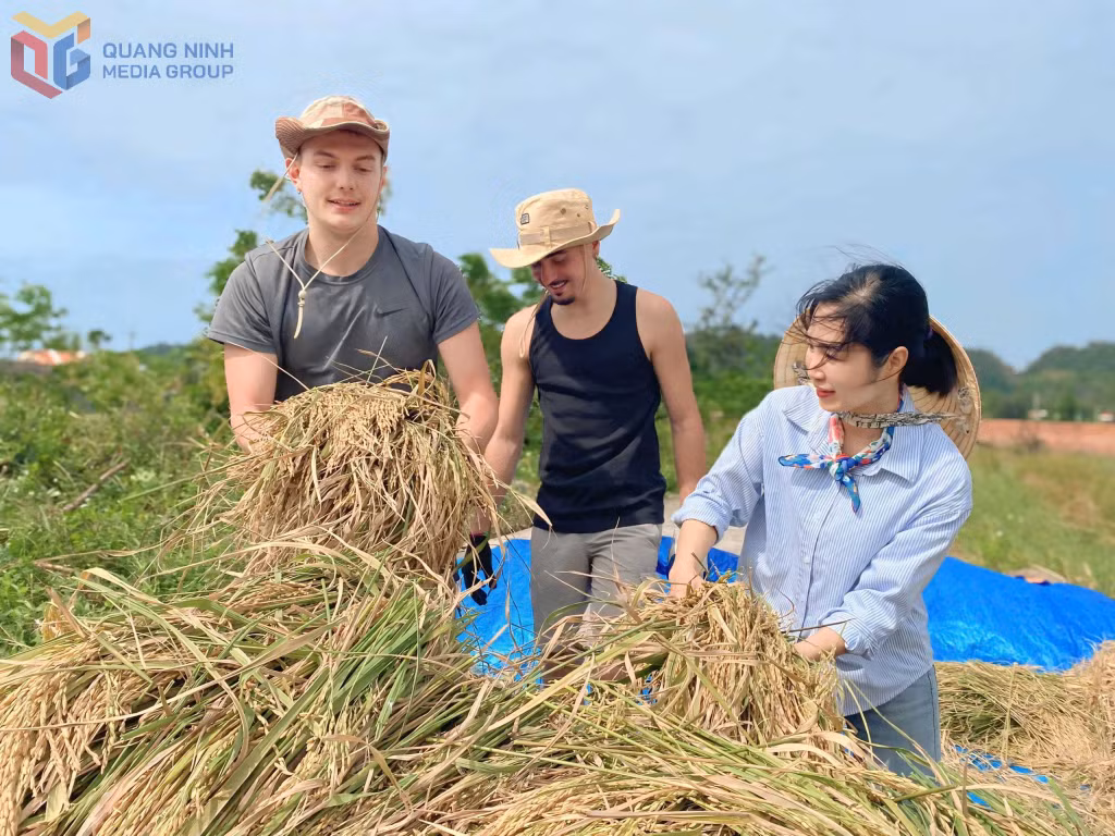 Du khách Tây trải nghiệm làm nông dân trên đảo Cô Tô Ảnh: Thu Báu