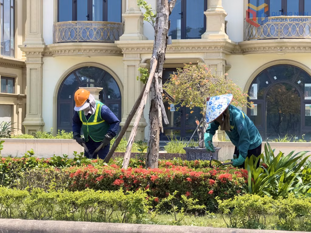 Phường Cẩm Phả chú trọng chăm sóc cây xanh, cảnh quan môi trường đô thị.