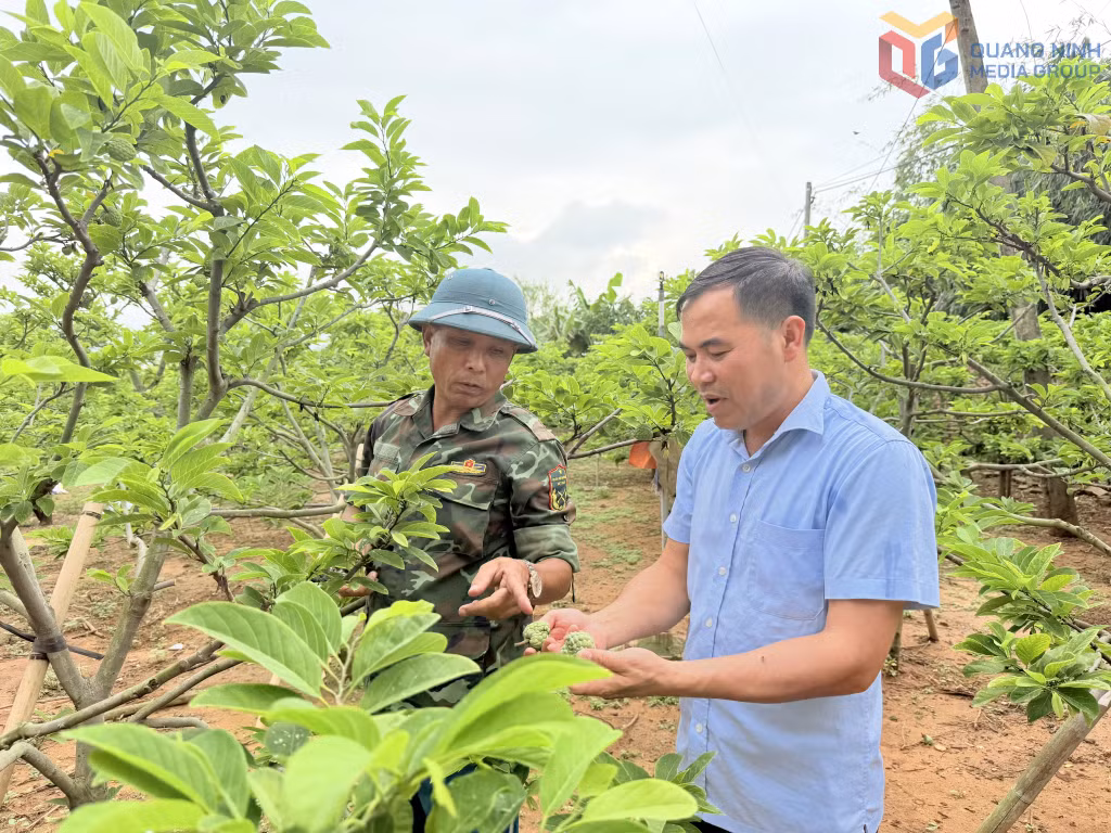 Ông Nguyễn Văn Khoa, Khu phố Tân Thành 1, phường An Sinh giới thiệu quy trình trồng na theo hướng Vietgap.