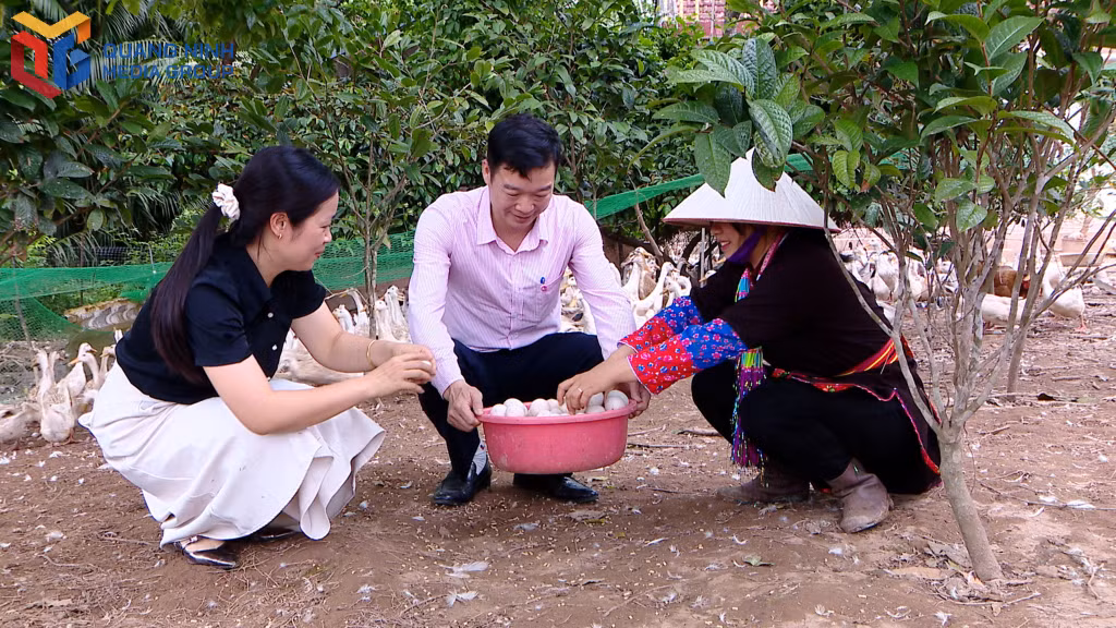 Nhờ có nguồn vốn vay từ Ngân hàng CSXH, nhiều phụ nữ trên địa bàn tỉnh có việc làm, thu nhập ổn định.