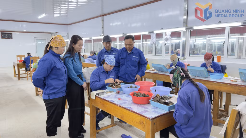 Công đoàn đặc khu Vân Đồn và Công đoàn Công ty TNHH Taiheiyo Shinju Việt Nam thăm hỏi người lao động tại vị trí làm việc.