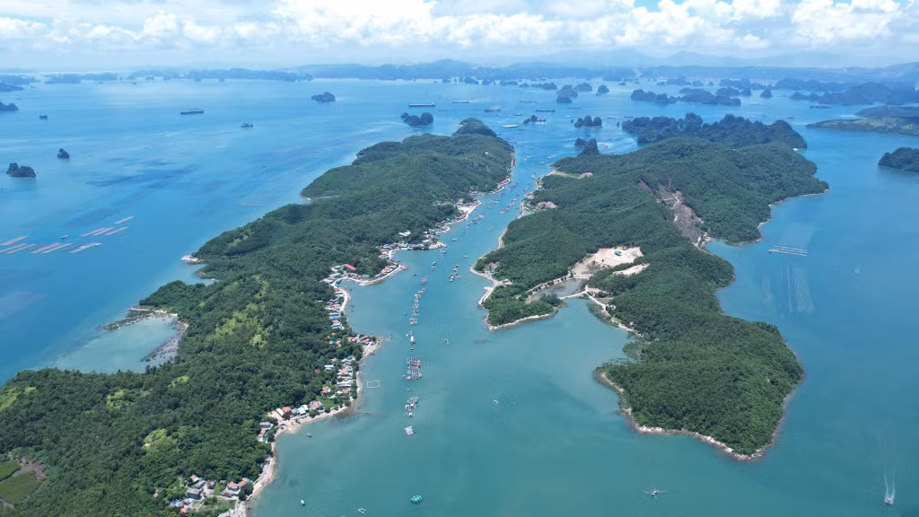 Đảo Cống Đông - Cống Tây (6-2026). Ảnh: Xuân Hòa