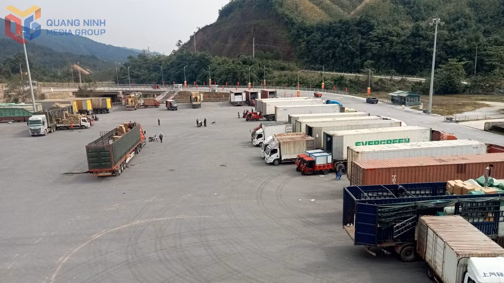Bốc xếp hàng hoá XNK tại Lối thông quan Bắc Phong Sinh (Việt Nam)-Lý Hoả (Trung Quốc) thuộc cặp cửa khẩu Hoành Mô (Việt Nam)-Động Trung (Trung Quốc).