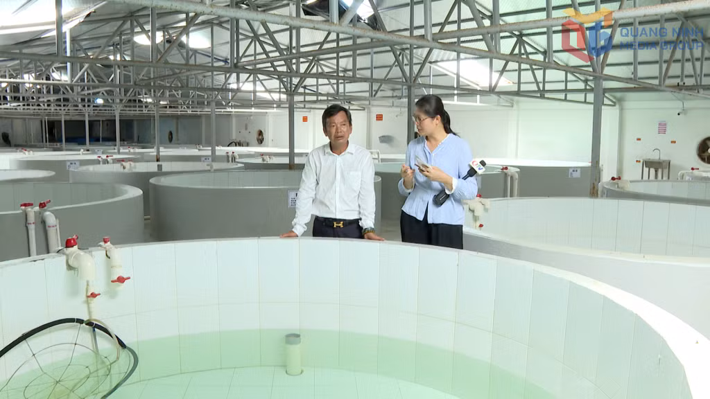 Công ty cổ phần Thủy sản Phương Anh có hệ thống bể hiện đại để chuẩn bị sản xuất giống và nuôi cá tầm thương phẩm.