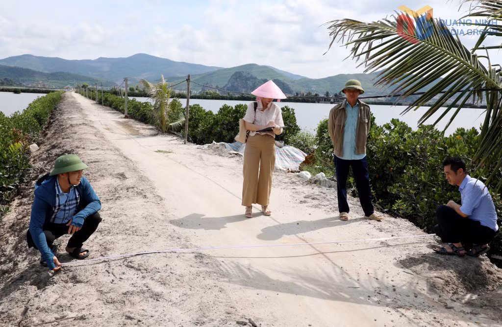 Trung tâm cung ứng dịch vụ phường Hà An thực hiện kiểm đếm tại thực địa đối với ao đầm bị ảnh hưởng bởi dự án.