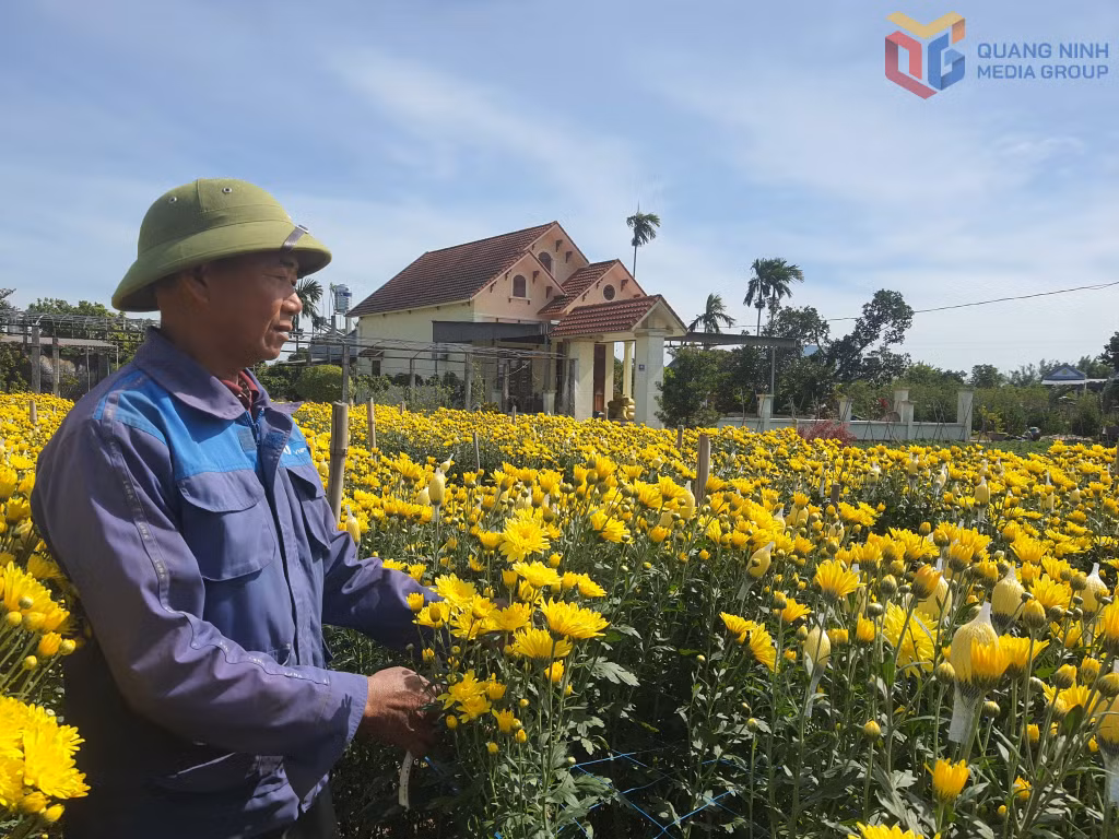 Người dân xã Quảng Tân có đời sống ấm no từ phát triển nông nghiệp.