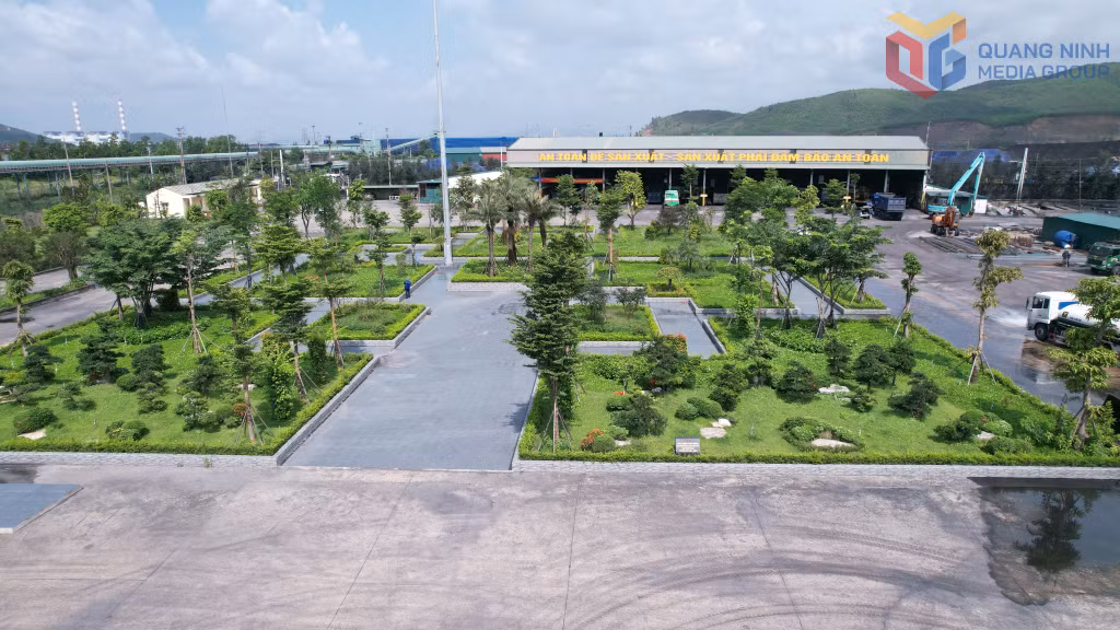 Tuyển than Hòn Gai xanh hóa mặt bằng sản xuất.