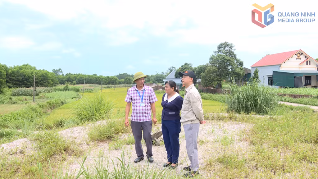 Công tác GPMB phục vụ dự án Bò sữa Quảng Ninh tại xã Quảng Tân đang được đẩy nhanh tiến độ.