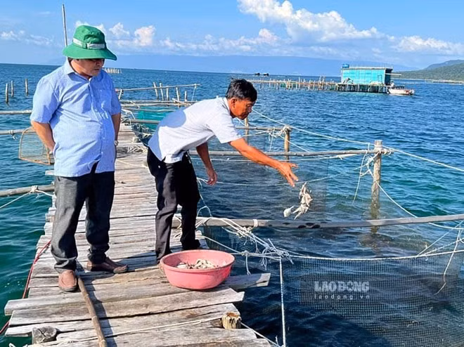 Nuôi trồng thủy sản ngày càng giữ vai trò chủ lực. Ảnh: Nguyên Anh