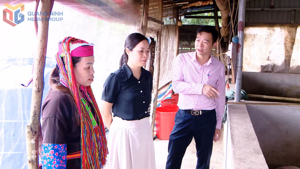 Việc hội viên, phụ nữ vay vốn phát triển kinh tế được Ngân hàng CSXH và Hội LHPN các địa phương định hướng, giám sát chặt chẽ, hiệu quả.