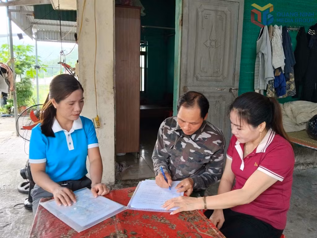 Hội LHPN đặc khu và các chi hội phụ nữ thôn/khu tích cực trong công tác phối hợp triển khai lấy ý kiến hộ gia đình về việc sắp xếp thôn, khu phố trên địa bàn.