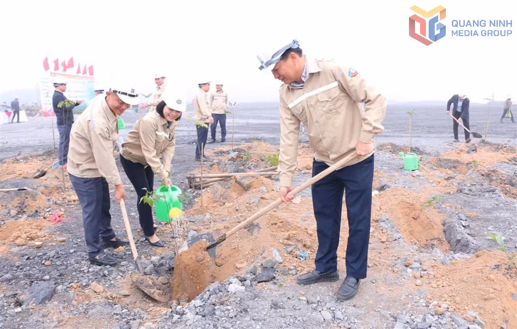 Trồng cây xuân 2026 tại Công ty CP Than Đèo Nai - Cọc Sáu (Ảnh: Quỳnh Trang-CTV).