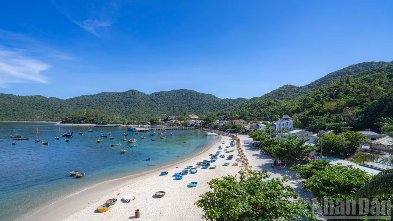 Cù Lao Chàm là một cụm đảo nguyên sơ thuộc xã Tân Hiệp, thành phố Đà Nẵng, nổi tiếng với hệ sinh thái đa dạng, thảm thực vật phong phú và làn nước biển trong xanh như ngọc.