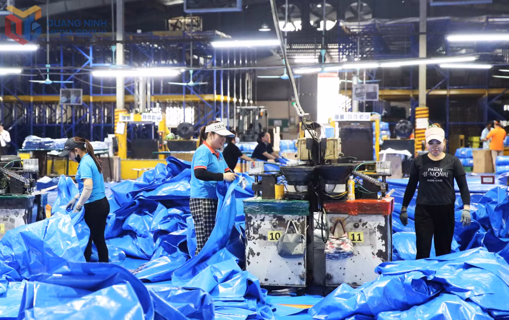 Sản xuất tại Công ty TNHH MTV Vina New Tarps, thuộc Khu công nghiệp Cái Lân. Ảnh: Minh Đức