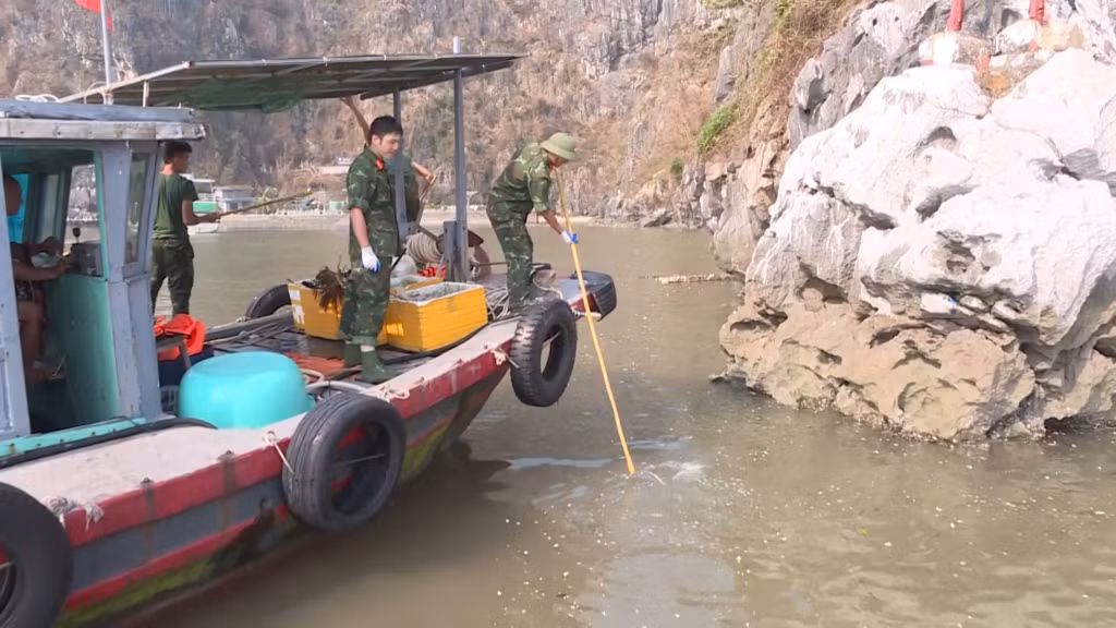 Chiến dịch “3 ngày làm sạch Vịnh Hạ Long” với sự tham gia của đông đảo cán bộ, nhân viên, lực lượng vũ trang, doanh nghiệp dịch vụ du lịch trên vịnh.