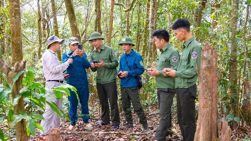Cán bộ kiểm lâm sử dụng phần mềm smart mobile trong quản lý rừng tại Khu dự trữ thiên nhiên Mường Nhé, tỉnh Điện Biên. (Ảnh TẠ PHƯƠNG)