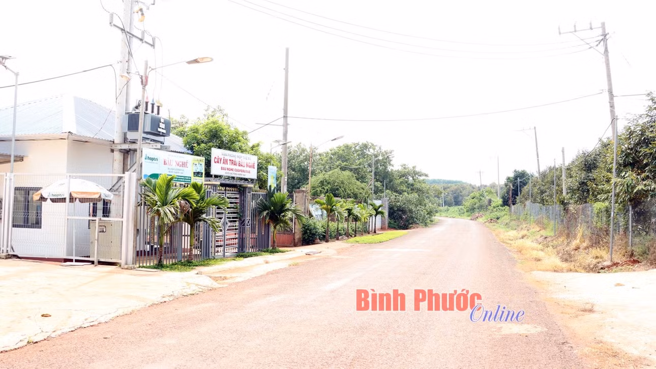 Tuyến đường vào HTX cây ăn trái Bàu Nghé được đầu tư xây dựng khang trang cùng với hệ thống đường điện tạo đà cho sản xuất phát triển