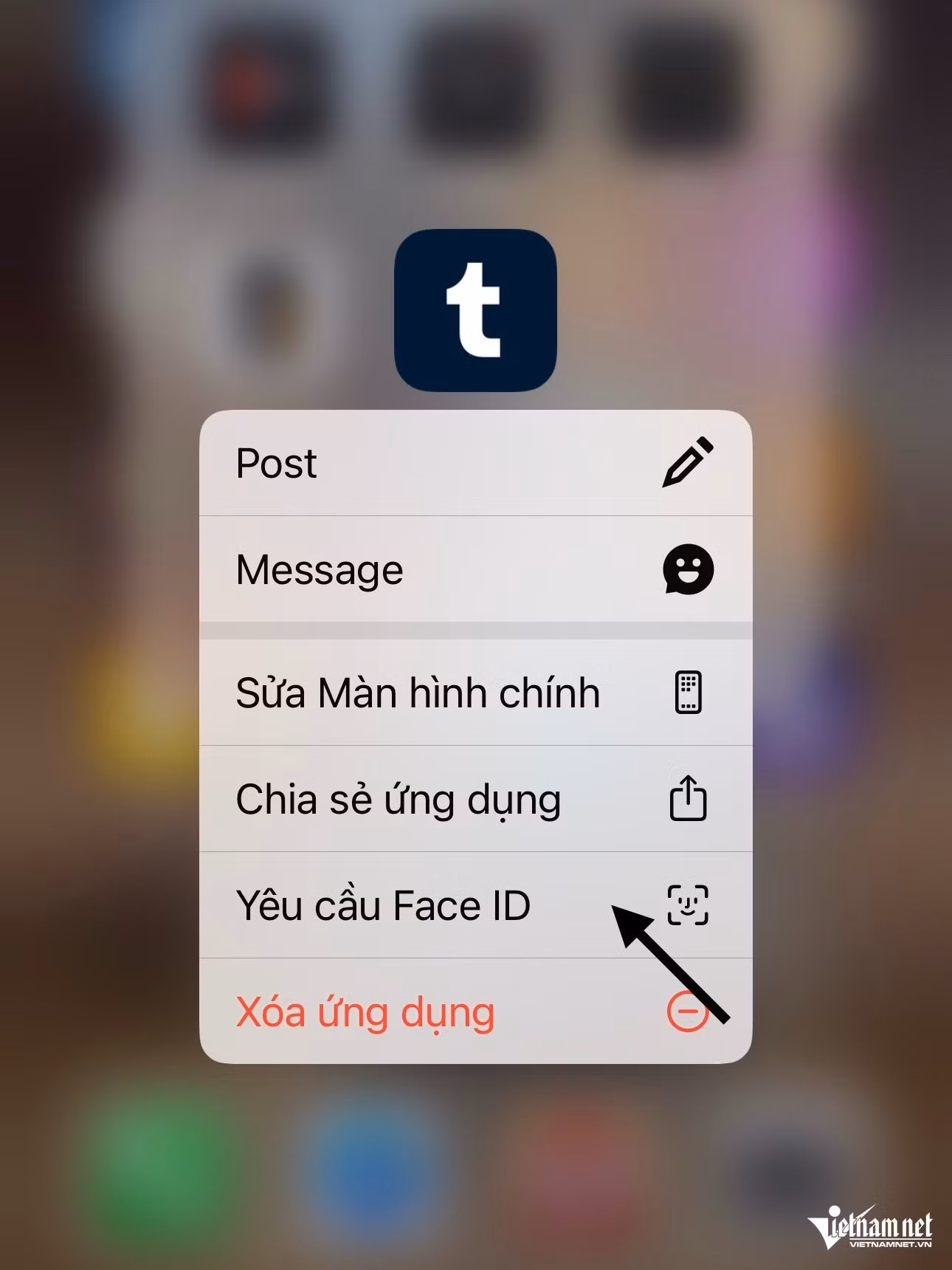 iOS 18 cho phép ẩn hoặc khóa ứng dụng bằng Face ID, Touch ID hoặc mật mã. Ảnh: Du Lam