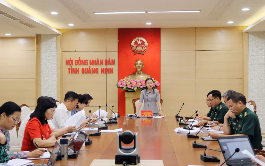 Quang cảnh buổi giám sát.