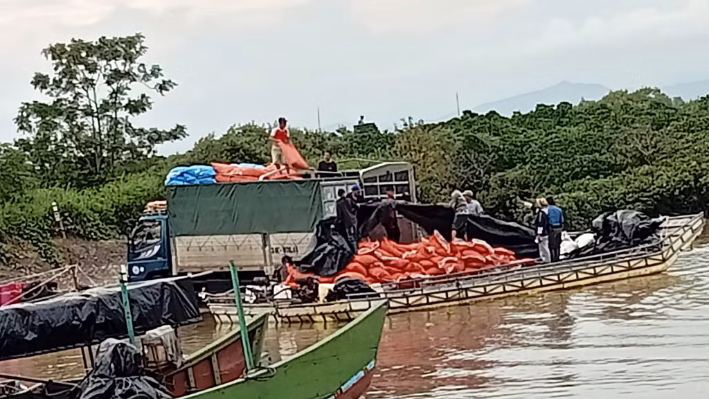 Vận chuyển hàng hóa tại các bến dân sinh trên địa bàn phường Trà Cổ, TP Móng Cái