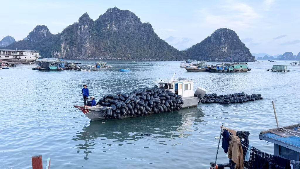 Người dân thu gom lại một phần phao nuôi hàu còn sót lại trên biển. Ảnh: Mạnh Trường