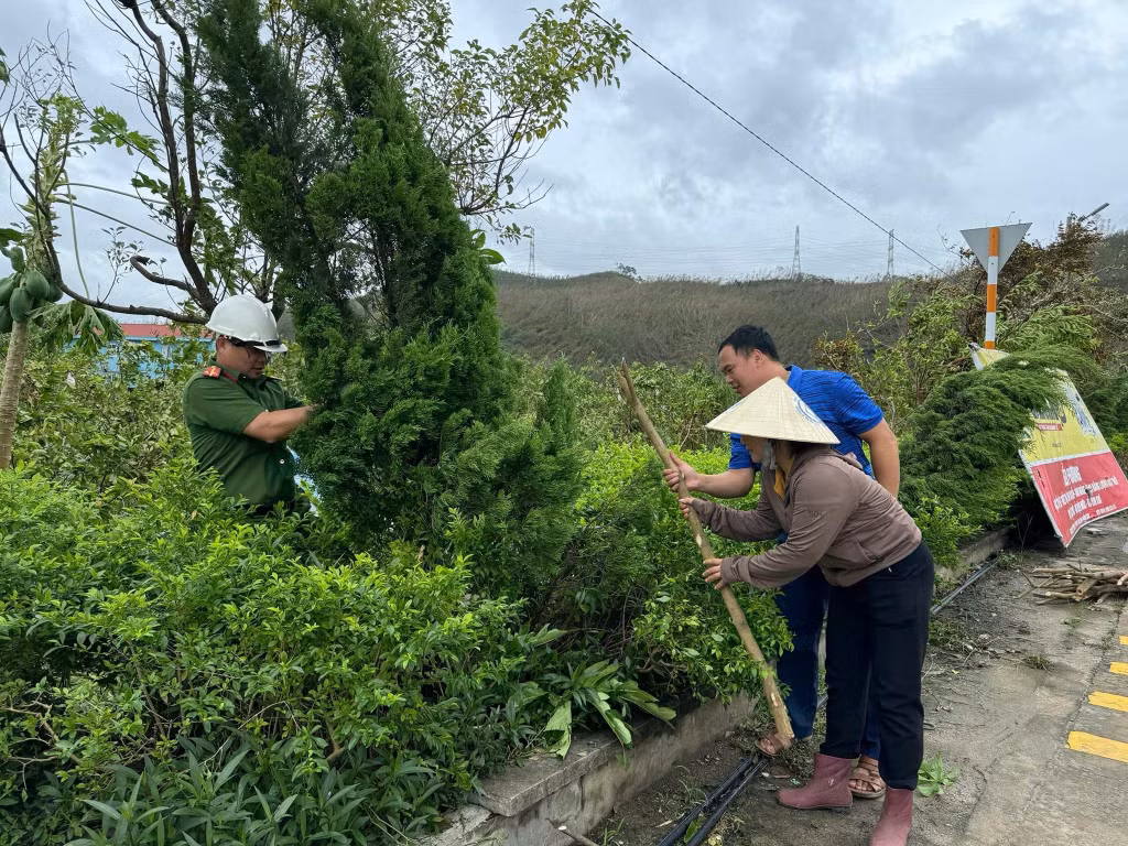 Cán bộ và nhân dân xã Sơn Dương thực hiện nâng đỡ, gia cố các cây xanh trên trục chính đường trung tâm xã bị ảnh hưởng do bão số 3. Ảnh do đơn vị cung cấp