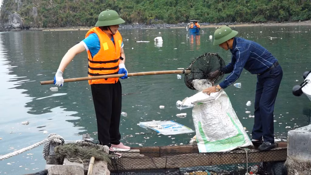 Tất cả mọi người tham gia ra sức vớt rác để nhanh chóng làm sạch biển.