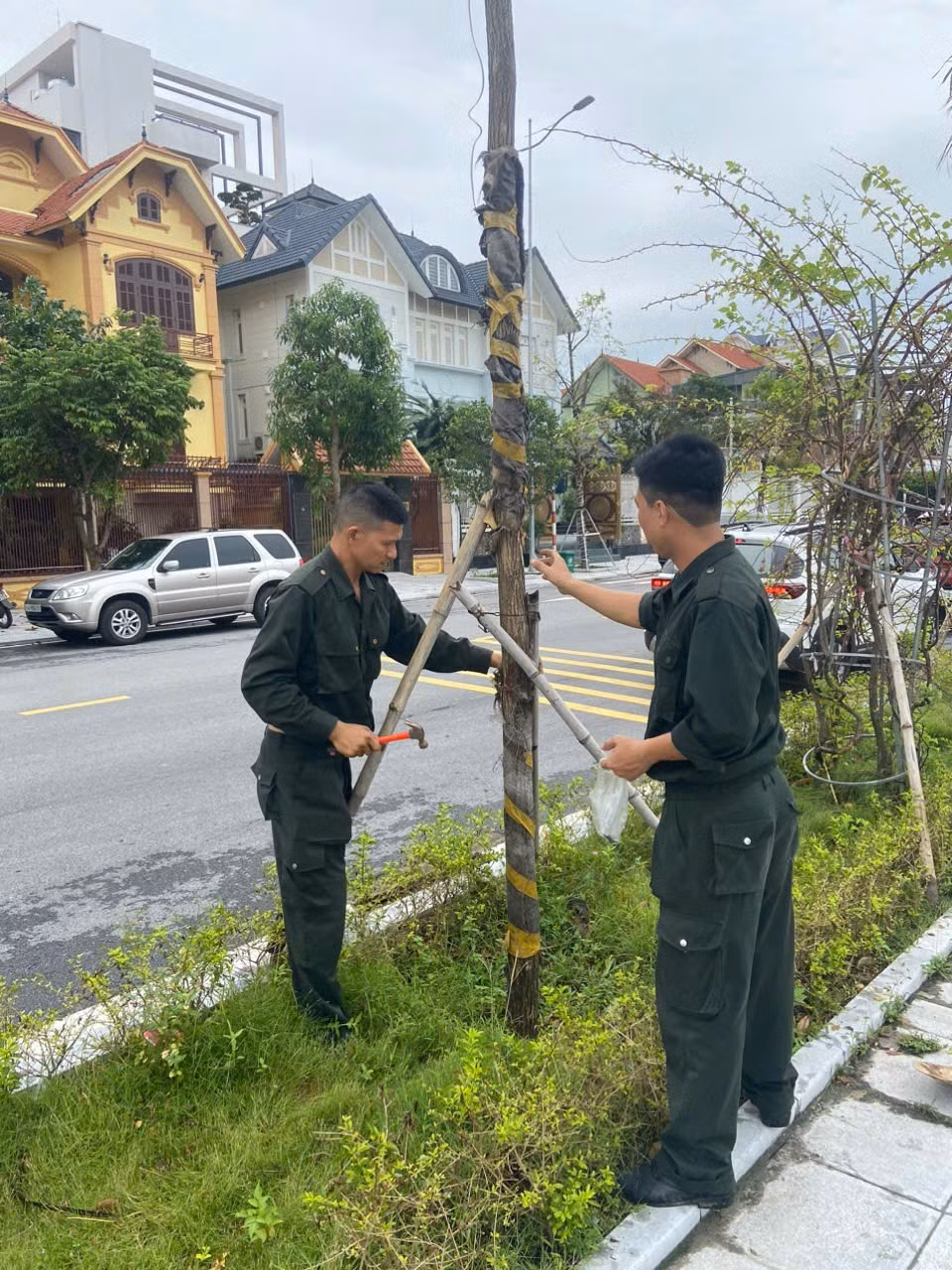 Lực lượng chức năng phường Hồng Hải (TP Hạ Long) khôi phục những cây bị gãy đổ, có khả năng sinh trưởng trở lại.