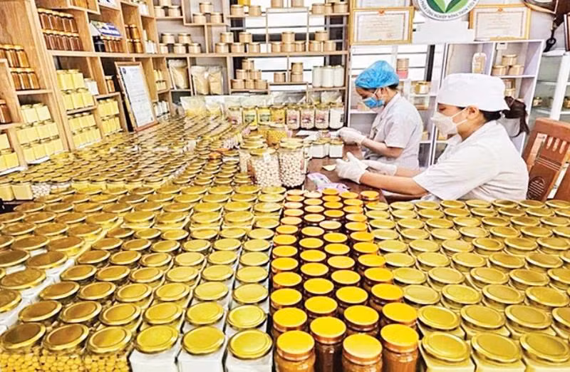 Đóng gói sản phẩm sau chế biến sâu tại Hợp tác xã Nông nghiệp Tân Thành.