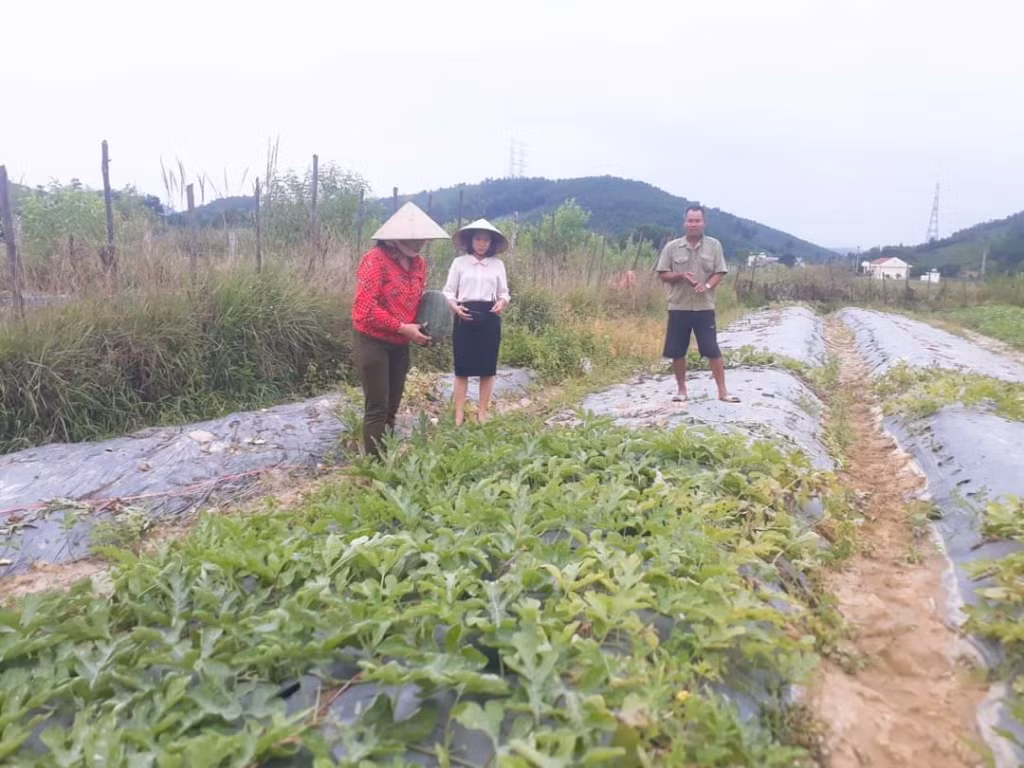 Cán bộ Hội LHPN xã Quảng La (TP Hạ Long) thực hiện giám sát an toàn thực phẩm trong sản xuất nông sản. Ảnh: Cơ sở cung cấp