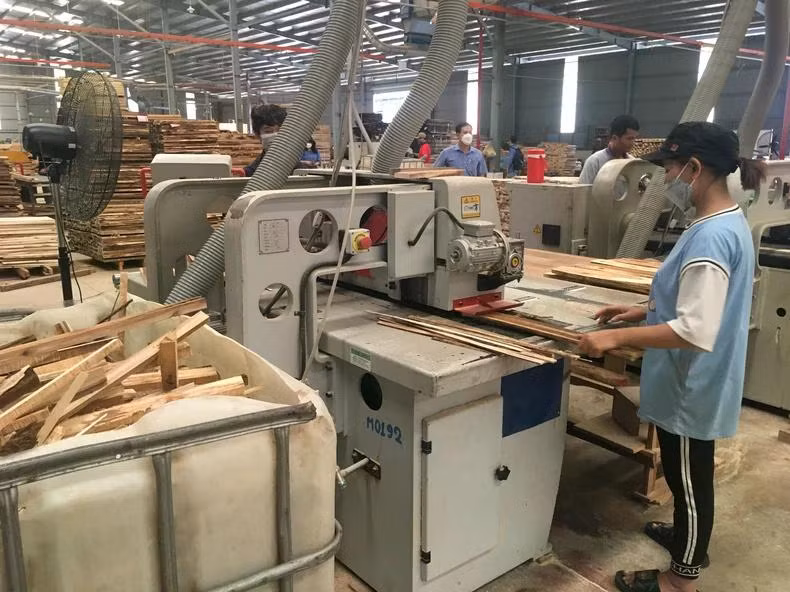Đầu tư thiết bị để phát triển công nghiệp chế biến gỗ hiện đại. (Ảnh: Dũng Minh)