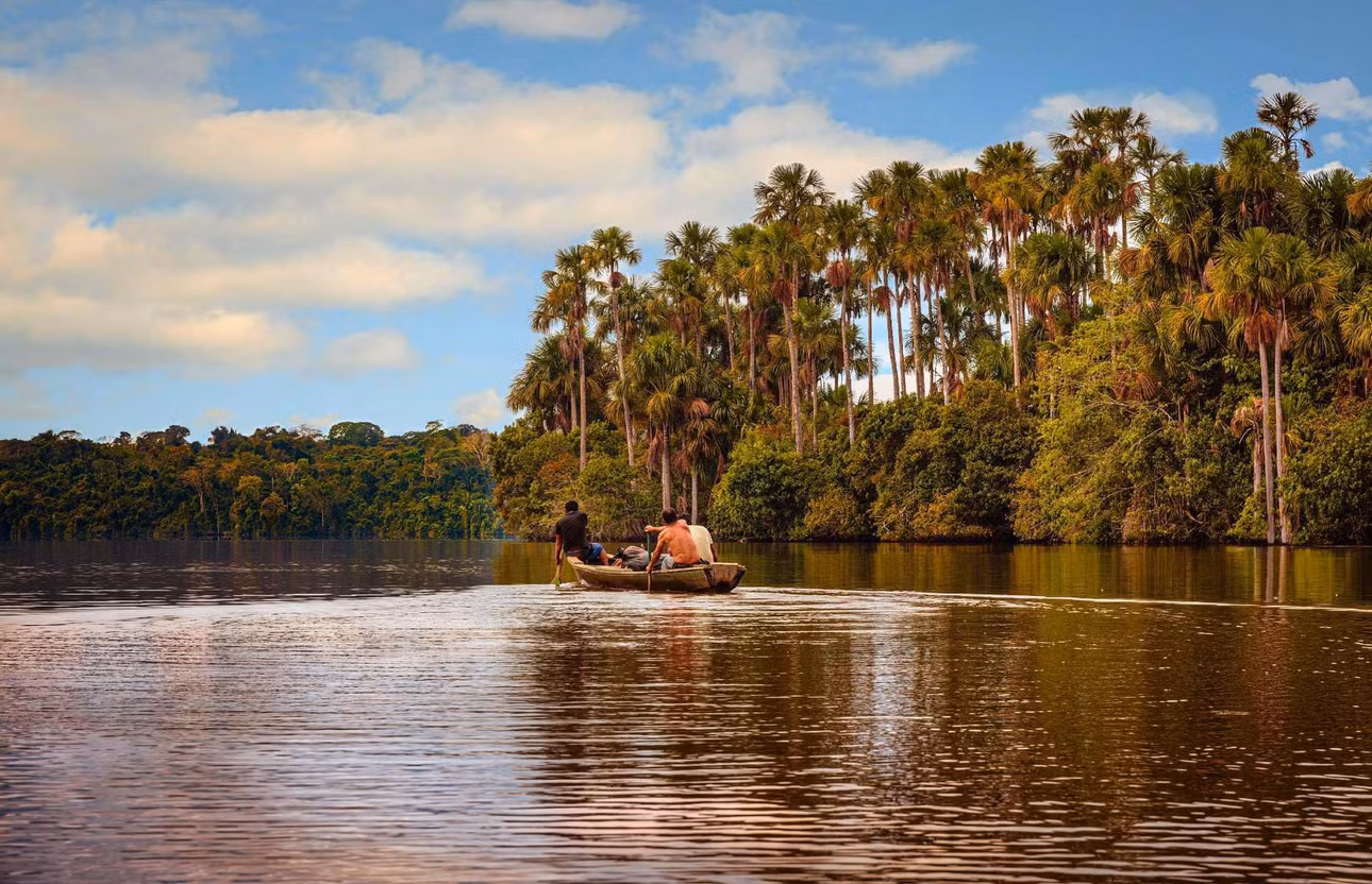 Ẩn giữa rừng Amazon (Peru), hồ Sandoval thuộc Khu bảo tồn quốc gia Tambopata. Để cảm nhận vẻ đẹp của hồ, bạn có thể bơi thuyền, ngắm nhìn những con rái cá, cá sấu và rùa khổng lồ, cũng như đại bàng sải cánh trên bầu trời.