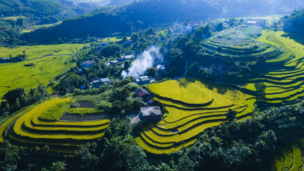Đại Dực đẹp mơ màng trong sắc thu vàng óng.