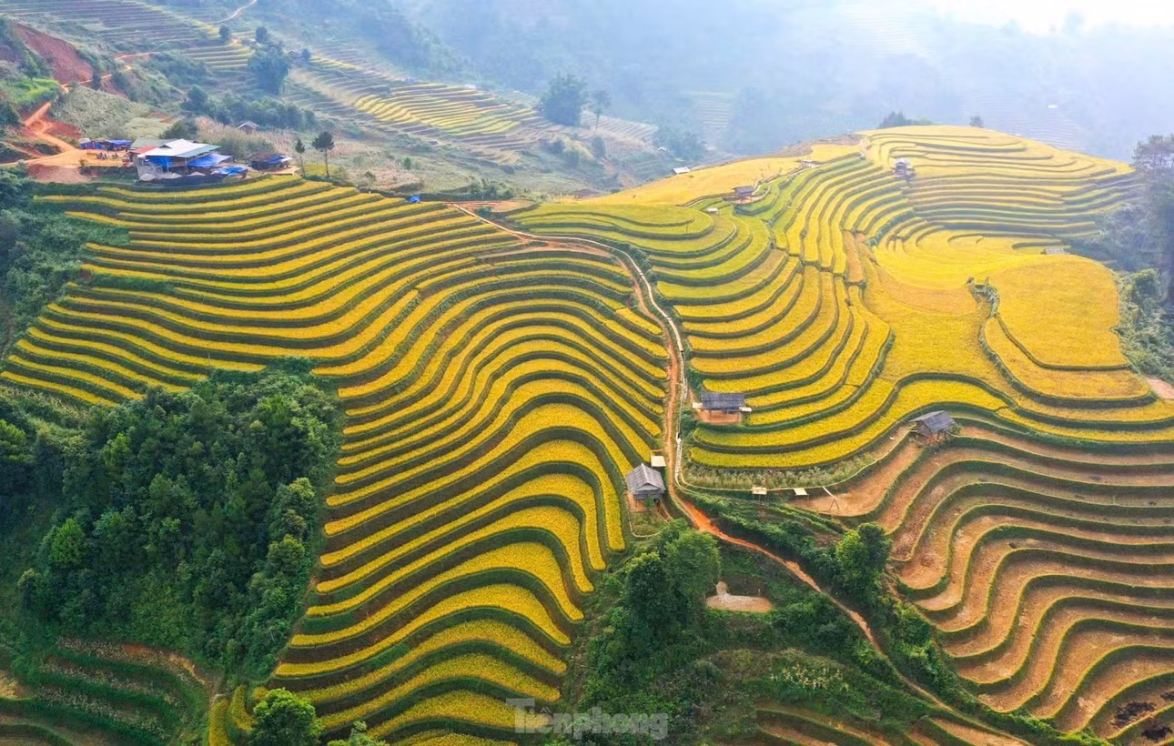 Đồi võng lúa, móng ngựa, xã Mồ Dề thuộc danh thắng ruộng bậc thang Mù Cang Chải, là điểm đến hấp dẫn của khách của du lịch trong mùa lúa chín vào tháng 9 và tháng 10.